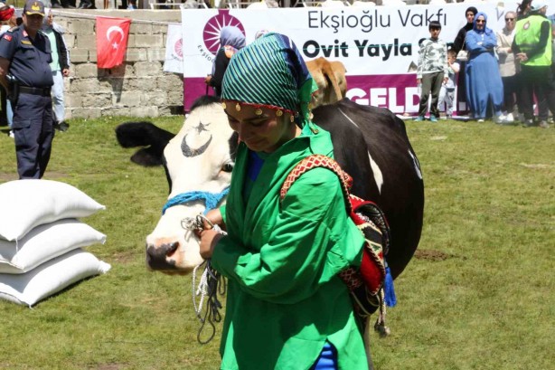 Foto - Bu da inek güzellik yarışması! İneğe saman sahibine para