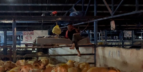 Foto - Bu da koyun koyuna nöbet! 