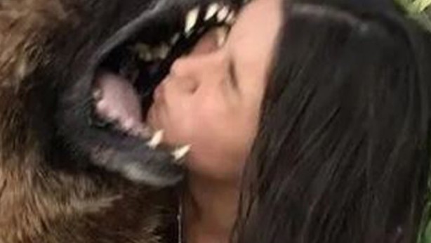 Bu da yapılacak iş mi şimdi! Asi canlı bir anda kafasını kaptı! Sonu felaket oldu