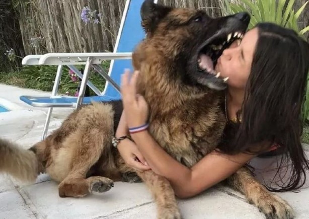 Foto - Bu da yapılacak iş mi şimdi! Asi canlı bir anda kafasını kaptı! Sonu felaket oldu