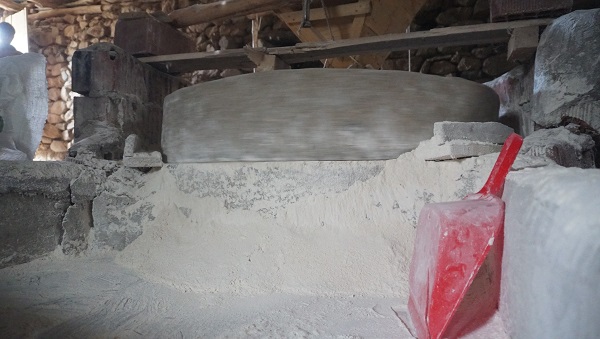 Foto - Bu değirmen 3 kuşaktır dönüyor!