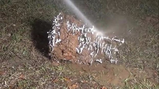 Foto - Bu deneye çok şaşıracaksınız