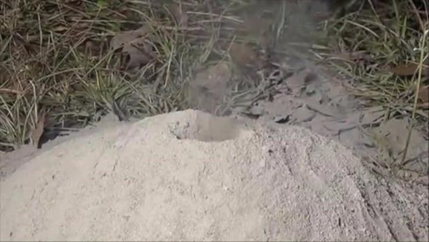 Foto - Bu deneye çok şaşıracaksınız