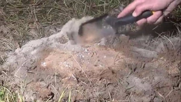 Foto - Bu deneye çok şaşıracaksınız