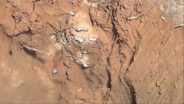 Foto - Bu deneye çok şaşıracaksınız