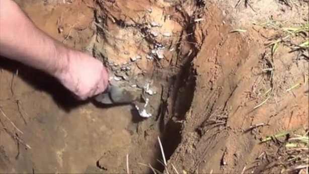 Foto - Bu deneye çok şaşıracaksınız