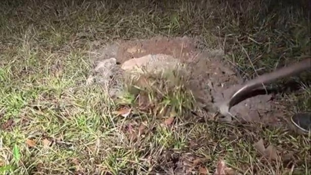 Foto - Bu deneye çok şaşıracaksınız