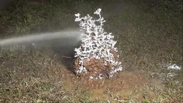 Foto - Bu deneye çok şaşıracaksınız