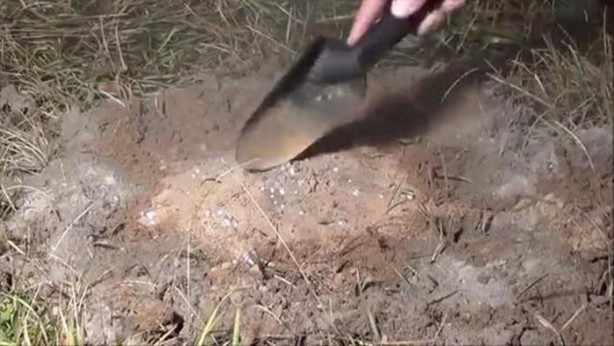 Foto - Bu deneye çok şaşıracaksınız