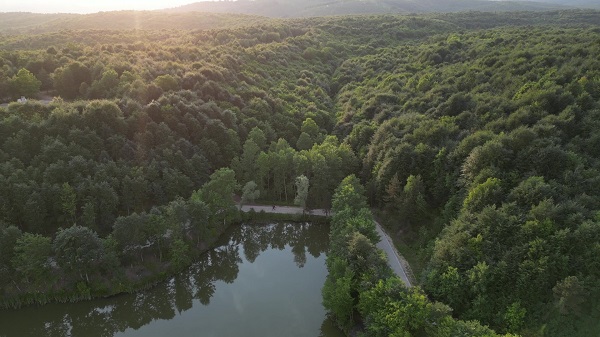 Foto - Bu doğa harikası Türkiye'de