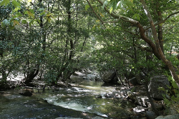 Foto - Bu doğa harikasını her yıl 40 bin kişi ziyaret ediyor