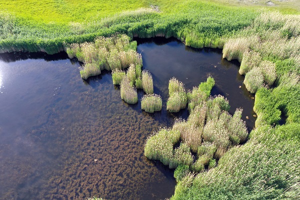 Foto - Bu doğal güzelliğin turizme kazandırılma çalışmaları başladı