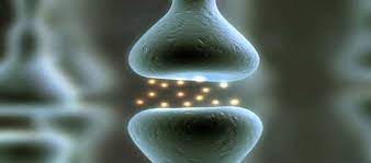 Foto - Bu dönemde vücudun en gözde savunması! Soğan çorbası yapıp yerseniz ne olur? İşte detaylar…