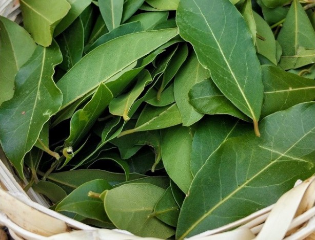 Foto - Bu dönemde vücudun en gözde savunması! Soğan çorbası yapıp yerseniz ne olur? İşte detaylar…