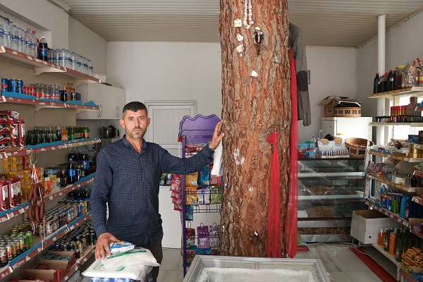 Bu dükkanın ortasından ağaç geçiyor