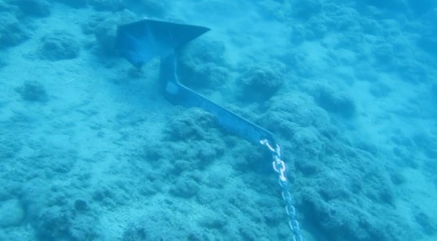 Foto - ‘Bu durum içimi acıttı, ağlayacaktım’ 7 Yılda Böyle Yok Oldu