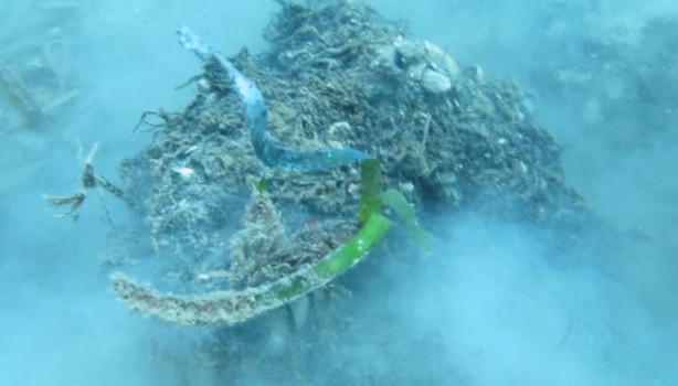 Foto - ‘Bu durum içimi acıttı, ağlayacaktım’ 7 Yılda Böyle Yok Oldu