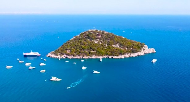 ‘Bu durum içimi acıttı, ağlayacaktım’ 7 Yılda Böyle Yok Oldu