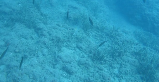 Foto - ‘Bu durum içimi acıttı, ağlayacaktım’ 7 Yılda Böyle Yok Oldu