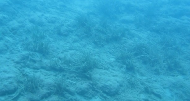 Foto - ‘Bu durum içimi acıttı, ağlayacaktım’ 7 Yılda Böyle Yok Oldu