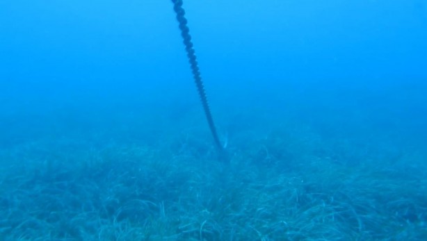 Foto - ‘Bu durum içimi acıttı, ağlayacaktım’ 7 Yılda Böyle Yok Oldu