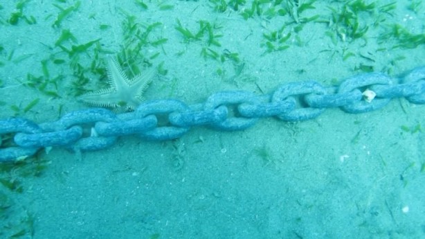 Foto - ‘Bu durum içimi acıttı, ağlayacaktım’ 7 Yılda Böyle Yok Oldu