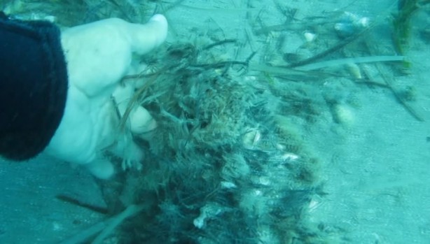 Foto - ‘Bu durum içimi acıttı, ağlayacaktım’ 7 Yılda Böyle Yok Oldu