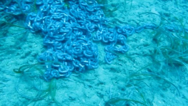 Foto - ‘Bu durum içimi acıttı, ağlayacaktım’ 7 Yılda Böyle Yok Oldu