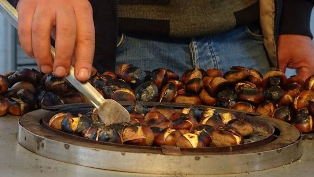 Foto - Bu duruma çok dikkat edin! Hayvan yemi olarak da satılıyor! Çin kestanesi nasıl ayırt edilir? Zararları nelerdir?