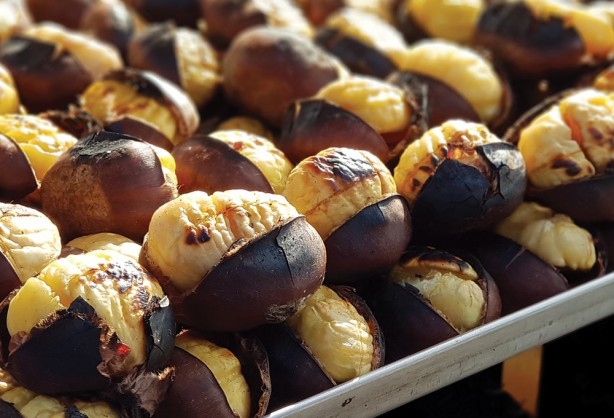 Foto - Bu duruma çok dikkat edin! Hayvan yemi olarak da satılıyor! Çin kestanesi nasıl ayırt edilir? Zararları nelerdir?