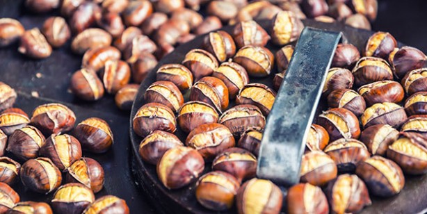 Foto - Bu duruma çok dikkat edin! Hayvan yemi olarak da satılıyor! Çin kestanesi nasıl ayırt edilir? Zararları nelerdir?