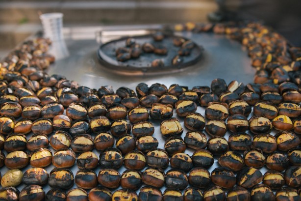 Bu duruma çok dikkat edin! Hayvan yemi olarak da satılıyor! Çin kestanesi nasıl ayırt edilir? Zararları nelerdir?