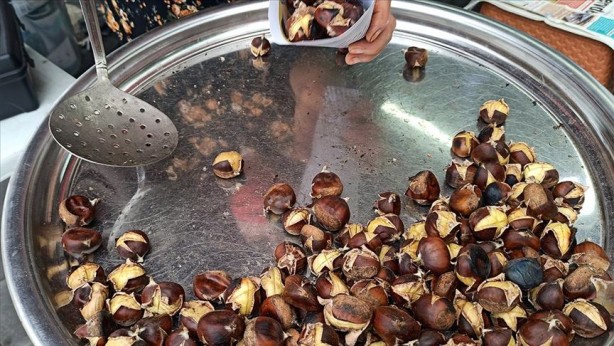 Foto - Bu duruma çok dikkat edin! Hayvan yemi olarak da satılıyor! Çin kestanesi nasıl ayırt edilir? Zararları nelerdir?