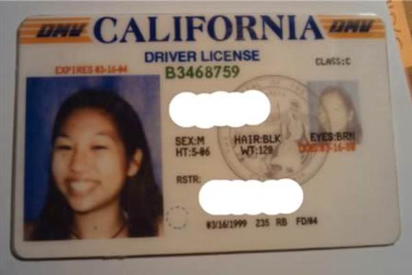 Foto - Bu ehliyetlere çok güleceksiniz