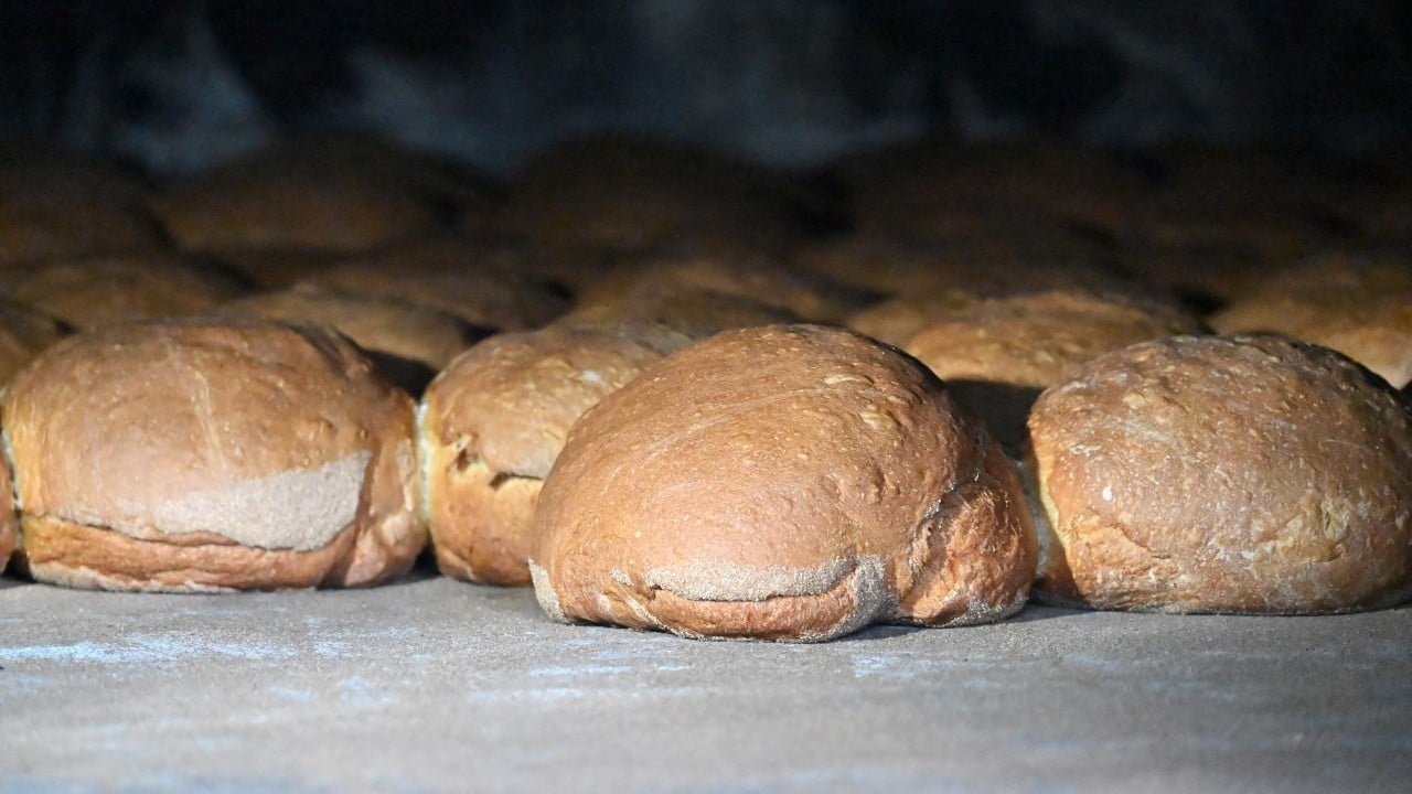 Foto - Bu ekmek başka maya! Alan bir hafta eve ekmek sokmuyor