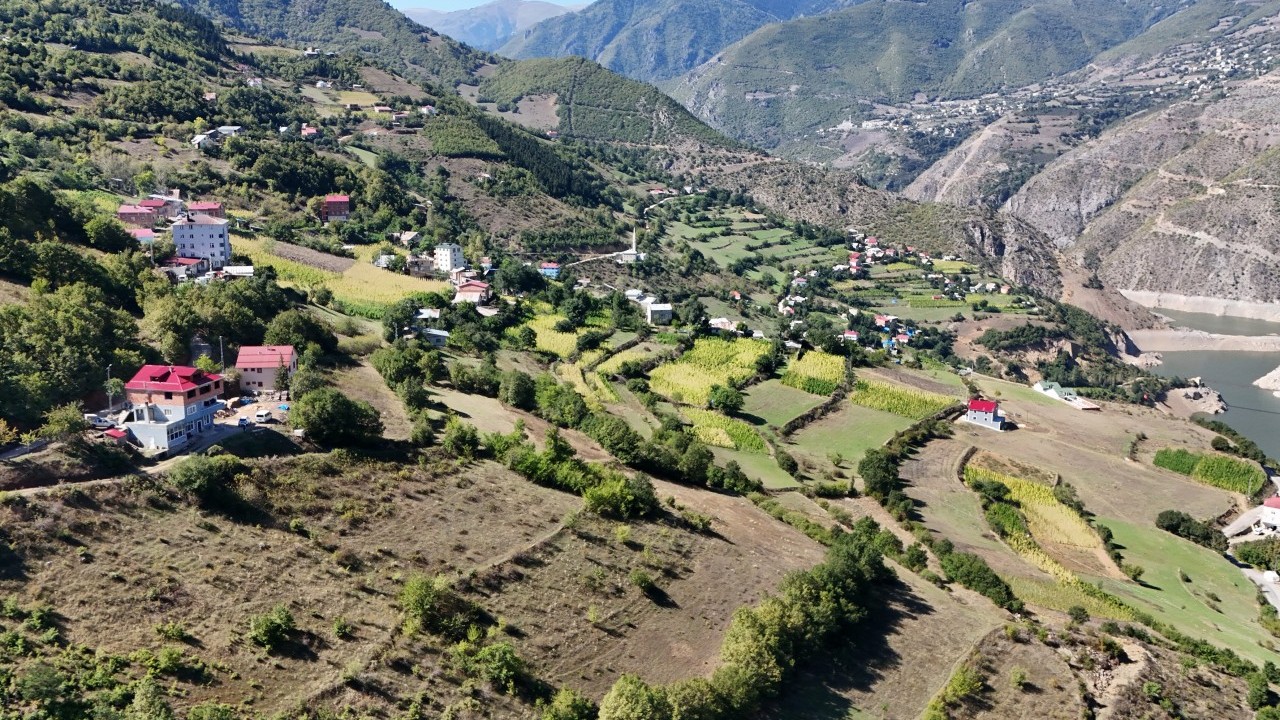 Foto - Bu ekmek başka maya! Alan bir hafta eve ekmek sokmuyor
