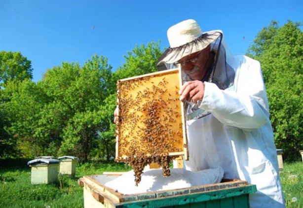 Foto - Bu ekmek kolon kanserini önlüyor
