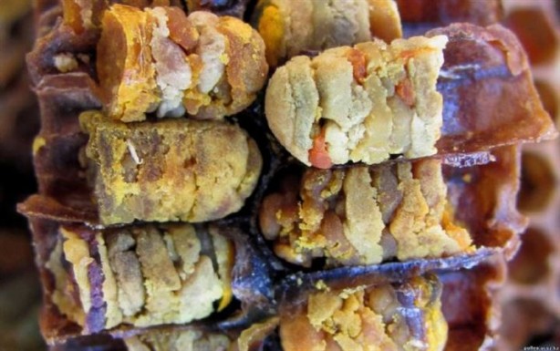 Foto - Bu ekmek kolon kanserini önlüyor