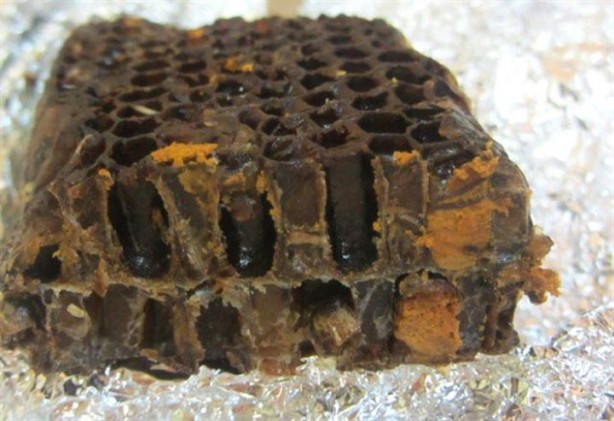 Foto - Bu ekmek kolon kanserini önlüyor