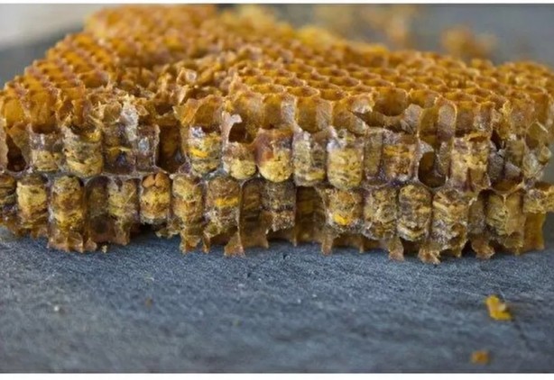 Foto - Bu ekmek kolon kanserini önlüyor! Faydalarına inanamayacaksınız