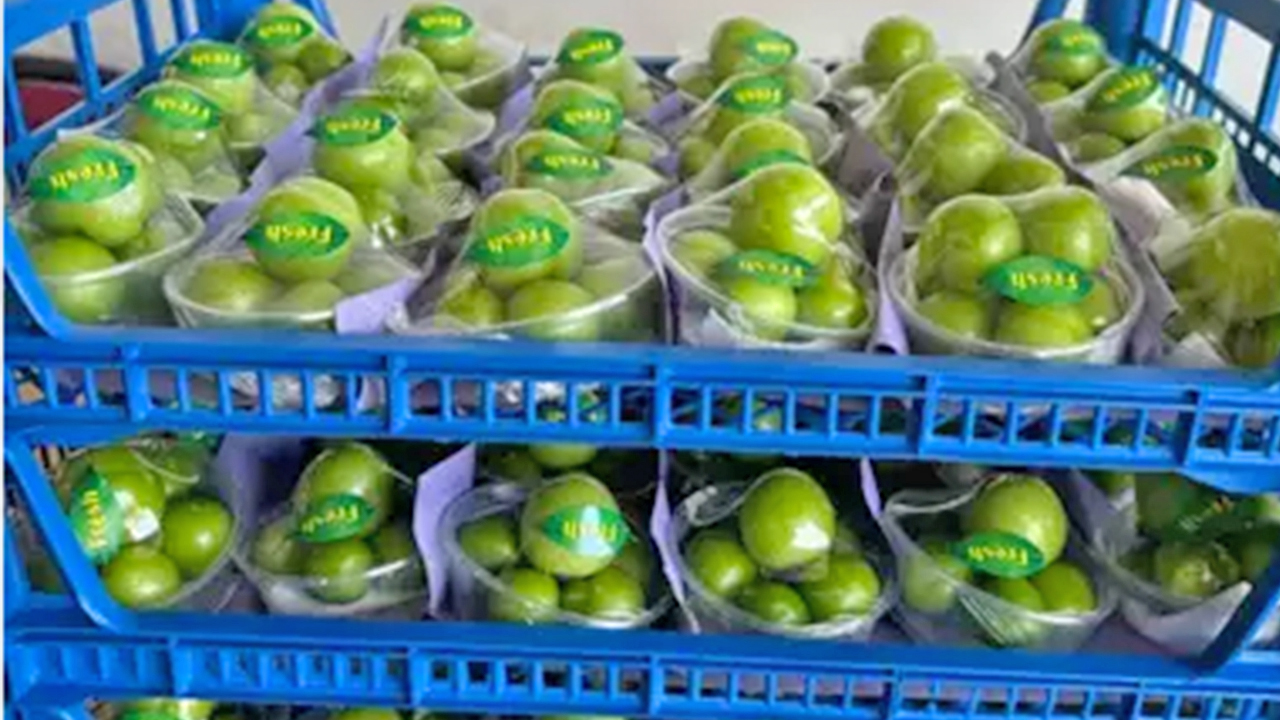 Bu erikleri parası bol olan yiyebilir: İlk hasat Dubai ve Katar’a