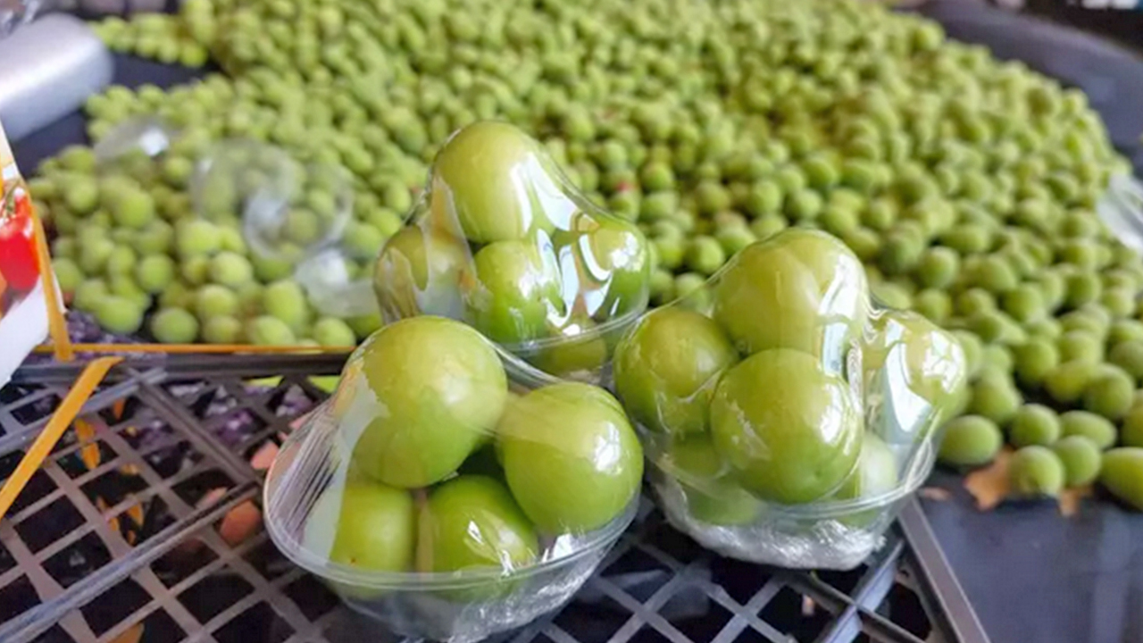 Foto - Bu erikleri parası bol olan yiyebilir: İlk hasat Dubai ve Katar’a