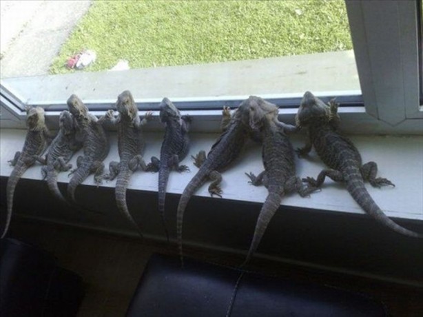 Foto - Bu eve girmek cesaret ister