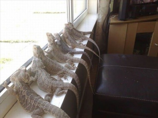 Foto - Bu eve girmek cesaret ister