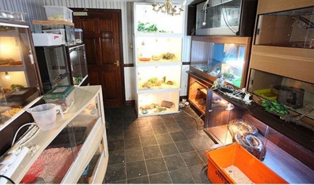 Foto - Bu eve girmek cesaret ister