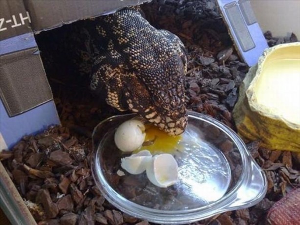 Foto - Bu eve girmek cesaret ister