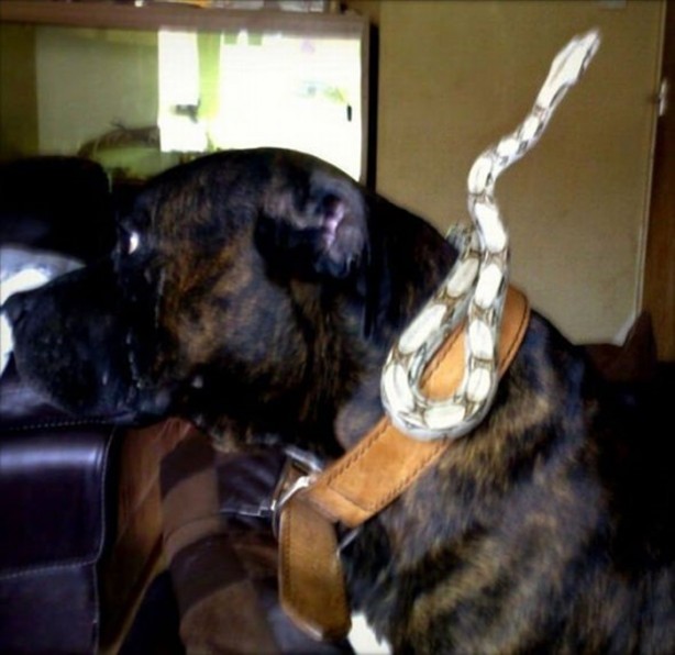 Foto - Bu eve girmek cesaret ister