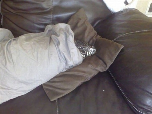 Foto - Bu eve girmek cesaret ister