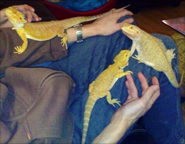 Foto - Bu eve girmek cesaret ister