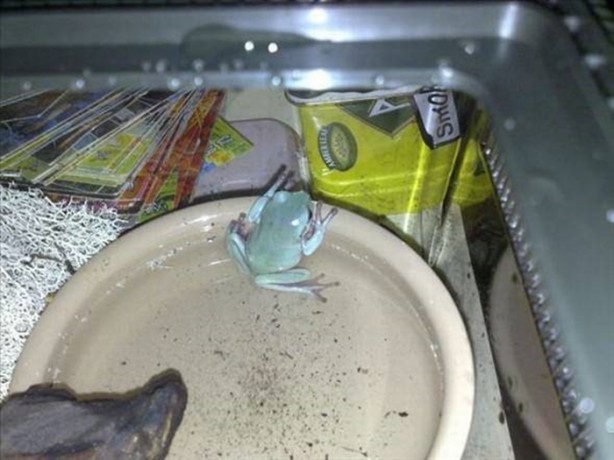 Foto - Bu eve girmek cesaret ister